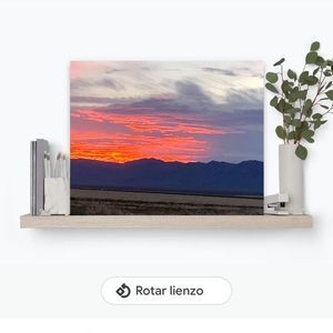 Meet your Posher, Luis